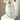 CLICK Big Belly Glass Vase for Hydroponic Flowers from CLICK