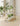 Lula Multilayer Flowerpot Stand from Yeter