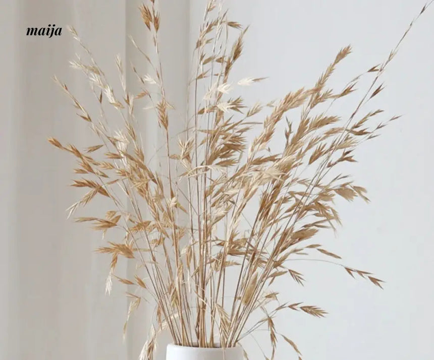 Circle Ceramic Vase