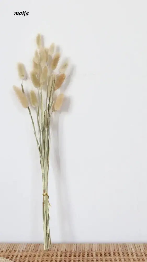 Light Chasing Ceramic Vase