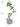 Artificial Golden Banyan Rubber Plant from maija