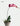 CIIREALS Heavy Rain Ceramic Planter from CIIREALS