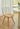 LAZYSPACE Evelyn Acrylic Highchair from LAZYSPACE