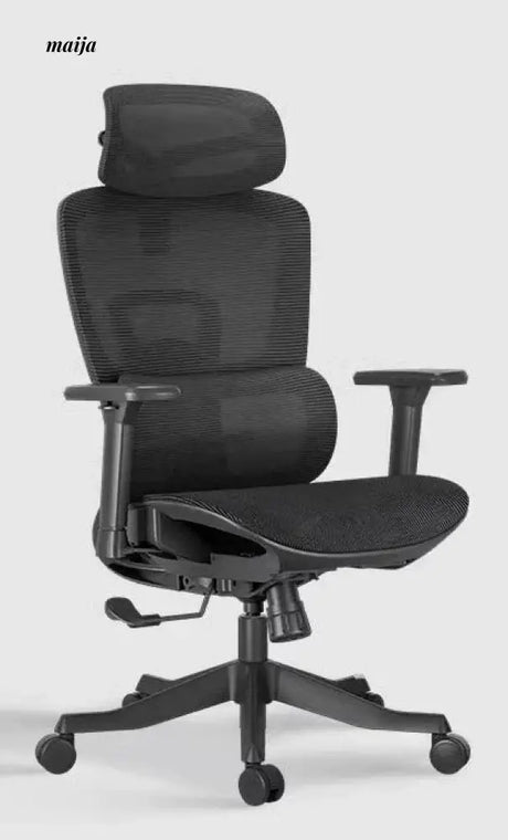 Black and White E2 Ergonomic Office Chair from Hbada