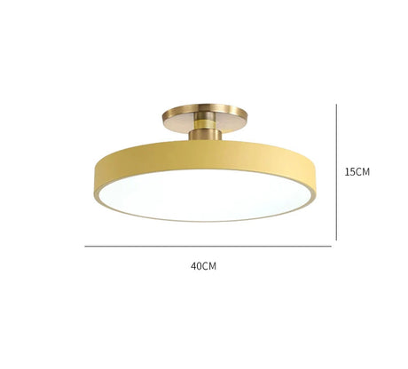 ALISA Victoria Modern Corridor Ceiling Light from ALISA