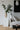 LILY WHITE Handmade Rough Ceramic Vase from LILY WHITE