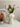 BEN HANMEI Elowen Elegant Ceramic Vase - Nordic Artistic Decoration from BEN HANMEI