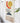 MAN YUE HOME Handmade Woven Tapestry for Bedroom or Living Room from JOINFIT