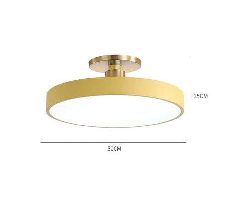 ALISA Victoria Modern Corridor Ceiling Light from ALISA