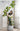 Artificial Golden Banyan Rubber Plant from maija