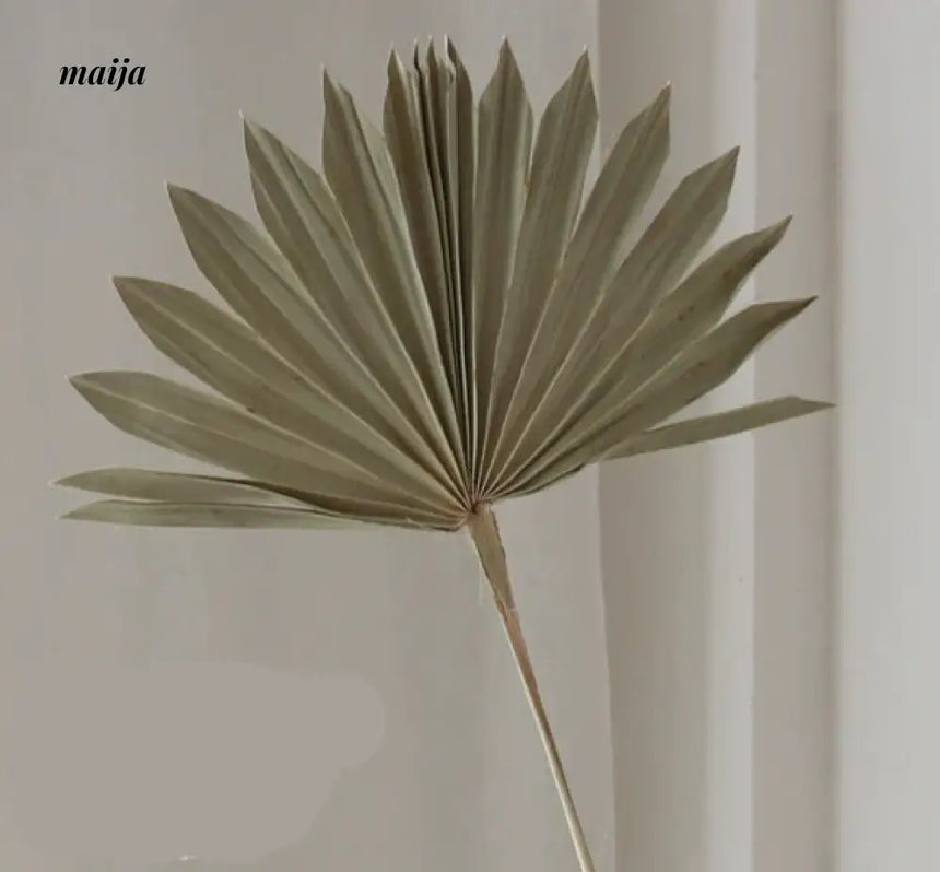 Light Chasing Ceramic Vase