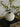 LILY WHITE Silent Wind Solid Wood Entry Ornament from LILY WHITE