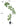 Artificial Golden Banyan Rubber Plant from maija