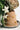 CIIREALS Root Tuber Ceramic Planter from CIIREALS