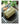 MISTYWOOD Advanced Woven Coffee Table Wipes from MISTYWOOD