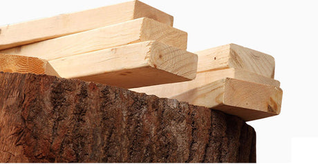 MORNING FOREST Anabella Chic Leather Storage Crib from MORNING FOREST