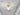 GVG Lotus Leaf Crystal Ceiling Light from GVG