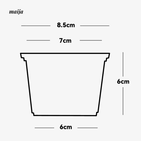 CIIREALS  Icing Ceramic Planter from CIIREALS