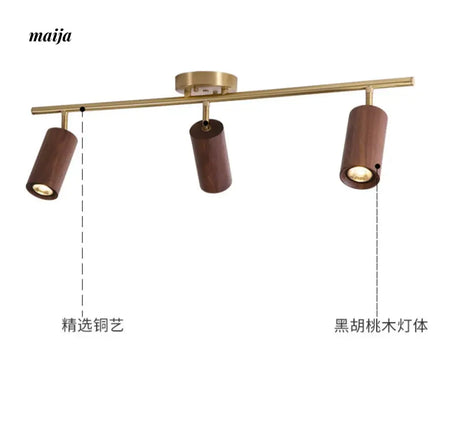 CH LIGHTING Mounted Ceiling and Wall Spot Light from CH LIGHTING