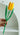 LIVETAI Creative Assembly Toy Flower from maija