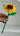 LIVETAI Creative Assembly Toy Flower from maija