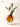 Caiden Simple Glass Vase from maija