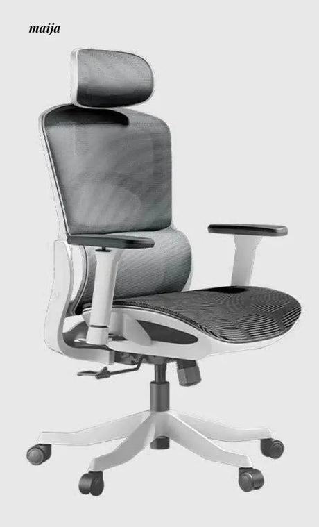 Black and White E2 Ergonomic Office Chair from Hbada