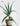 CIIREALS Overnight Muffin Ceramic Planter from maija
