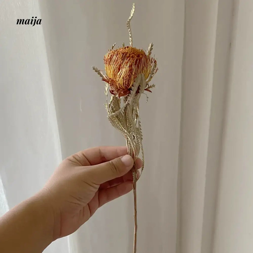 Light Chasing Ceramic Vase