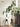 LILY WHITE Minimal Modern Scandinavian Artificial Plant from LILY WHITE