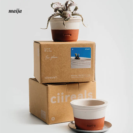 CIIREALS  Icing Ceramic Planter from CIIREALS