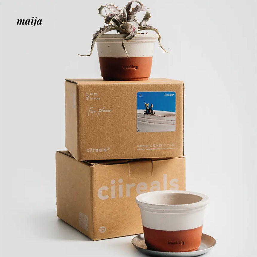 CIIREALS  Icing Ceramic Planter from CIIREALS