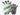 JOINFIT Fitness Gloves Anti-Slip Dumbbell Training Gear from JOINFIT