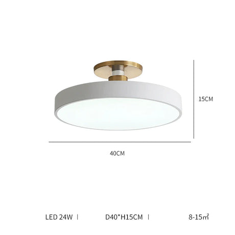 ALISA Victoria Modern Corridor Ceiling Light from ALISA
