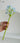 LIVETAI Creative Assembly Toy Flower from maija