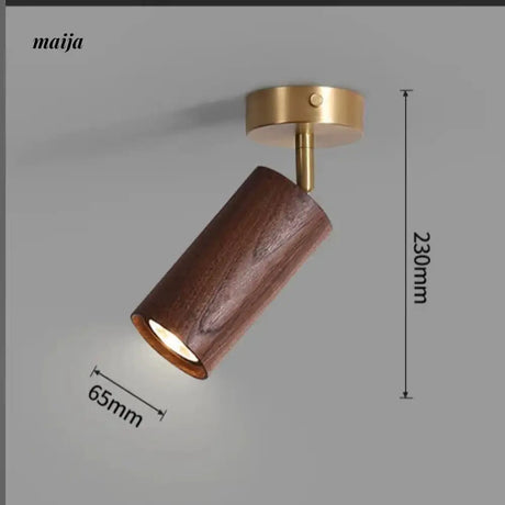 CH LIGHTING Mounted Ceiling and Wall Spot Light from CH LIGHTING