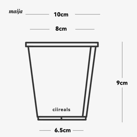 CIIREALS Root Tuber Ceramic Planter from CIIREALS