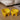 LENYVASEN Jasper Large Ceramic Pet Bowl from LENYVASEN