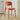 [CLEARANCE] Shania Plastic Dining Chair from Yishengtao