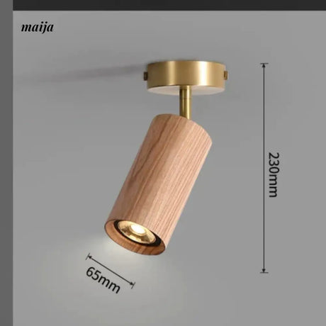 CH LIGHTING Mounted Ceiling and Wall Spot Light from CH LIGHTING