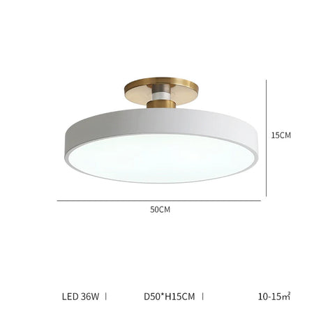 ALISA Victoria Modern Corridor Ceiling Light from ALISA