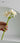 LIVETAI Creative Assembly Toy Flower from maija
