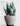 CIIREALS Overnight Muffin Ceramic Planter from maija