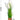 Artificial Reed Grass Plant from maija