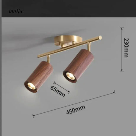 CH LIGHTING Mounted Ceiling and Wall Spot Light from CH LIGHTING