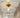 GVG Lotus Leaf Crystal Ceiling Light from GVG