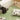MAN YUE HOME Retro Plush Non-Slip Carpet for Tatami Four Seasons from MAN YUE HOME