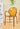 LAZYSPACE Leo Acrylic Coffee Chair from LAZYSPACE