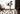 Cherry Wood Moveable Standing Desk from maija