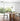 Bird Cage Solid Wood Dining Table from maija